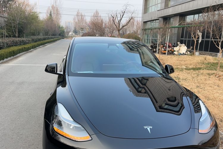 Used Tesla Model Y 2022 Rear-Wheel-Drive Version
