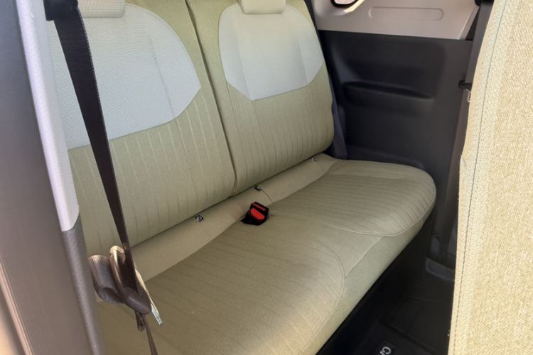 Used  Panda 2024 Panda Mini 200km Endurance Bear
