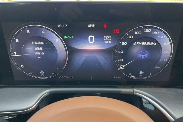 Used Hongqi H9 2024 2.0T Qichang Private Enjoyment Luxury Edition
