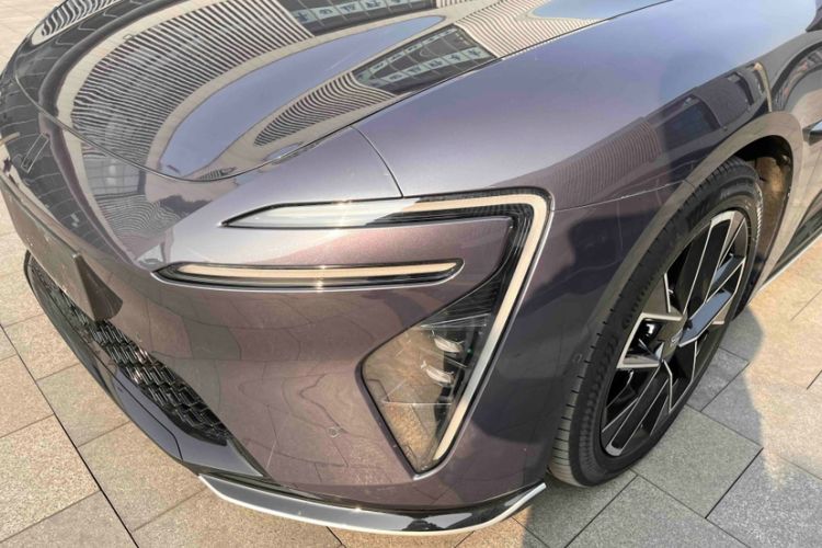 Used  06 2025 Max Extended-Range Edition
