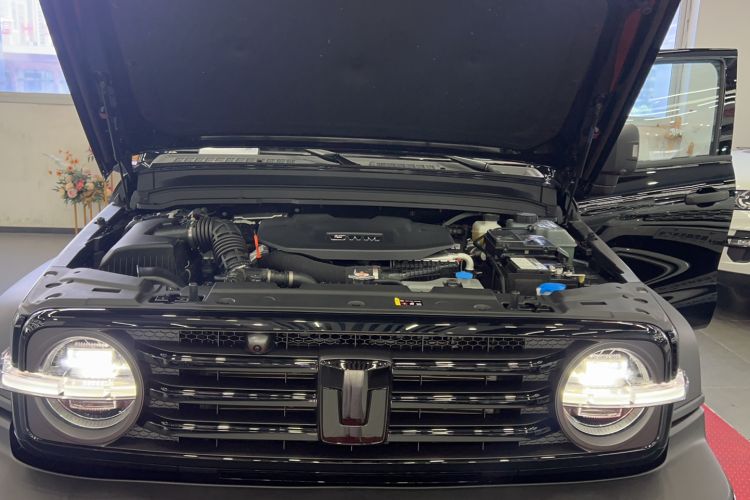 Used Tank 300 New Energy 2025 Hi4-T
