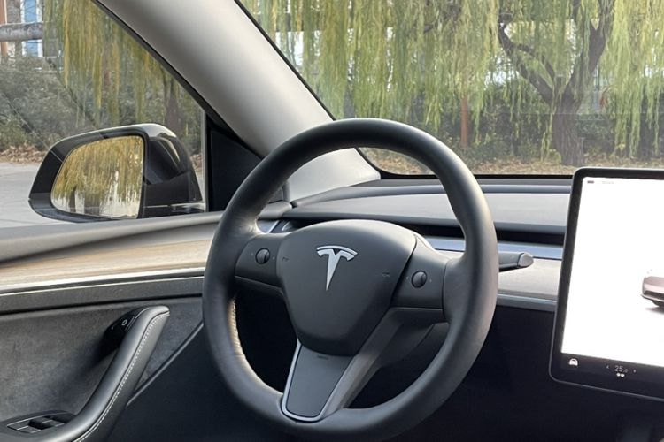 Used Tesla Model Y 2021 Standard Range Rear-Wheel Drive Version
