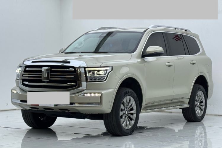 Used Tank 500 New Energy 2025 Hi4-Z
