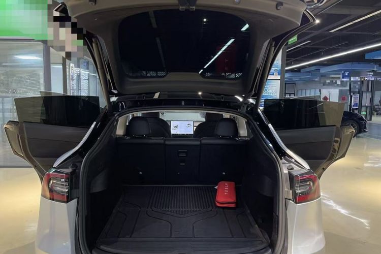 Used Tesla Model Y 2021 Standard Range Rear-Wheel Drive Version
