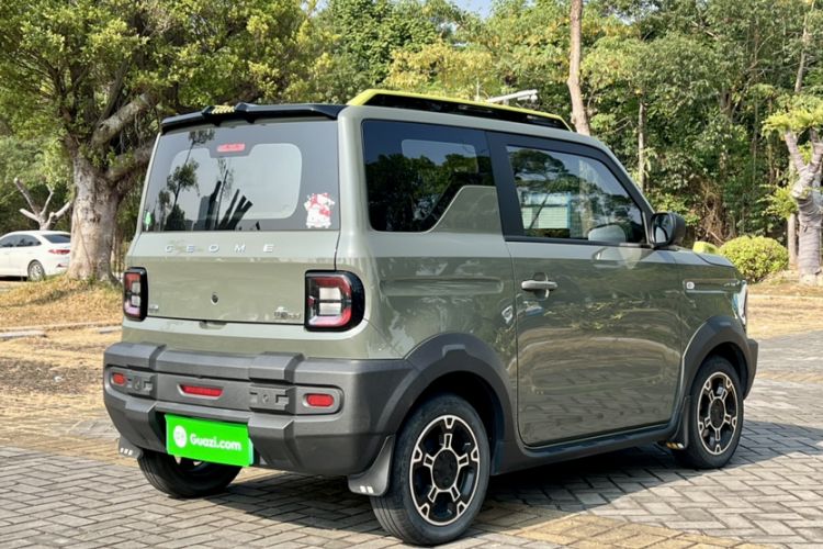 Used  Panda 2024 200km Panda Rider
