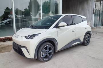 Used BYD Seagull 2024 Honor Edition 305km Freedom Version