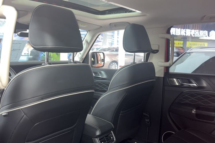 Used Tank 300 2024 2.0T Conqueror