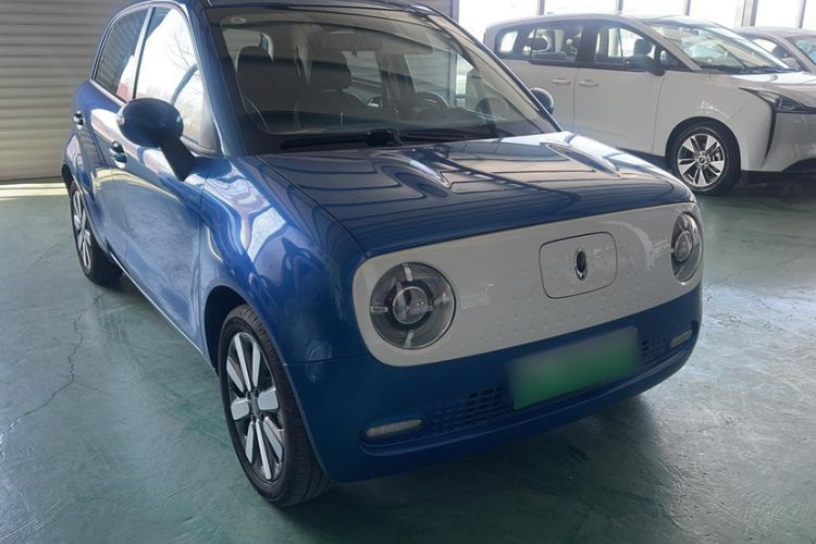 Used ORA Black Cat 2019 351 km Family Edition
