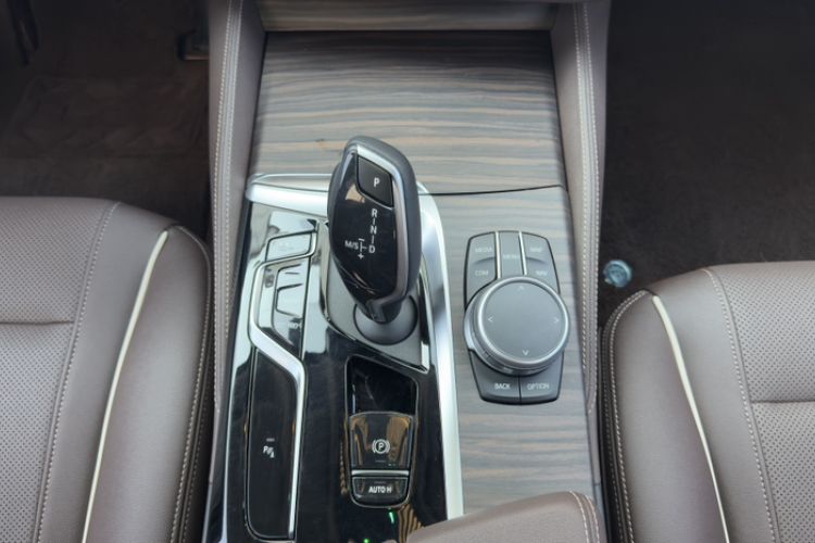 Used BMW 5 Series 2021 530Li Leading Luxury Package