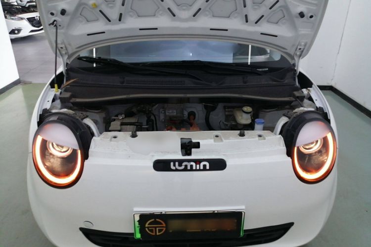 Used  Lumin 2023 301km Honey Dew Edition
