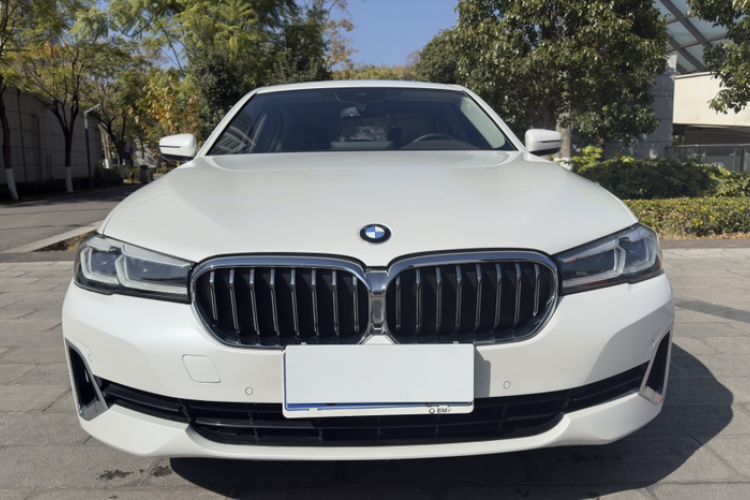 Used BMW 5 Series 2021 530Li Leading Luxury Package