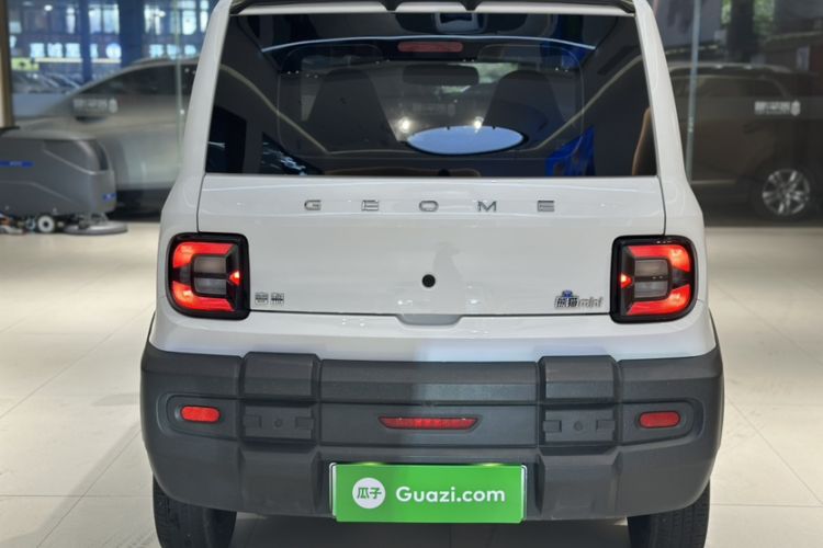 Used  Panda 2024 200km Panda Rider