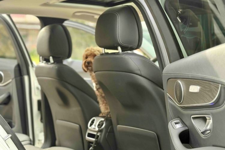 Used Mercedes-Benz C-Class 2020 Restyled C 200 L Fashion Edition Sport Version
