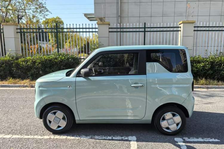 Used  Panda 2023 Panda Mini 200km Endurance Bear
