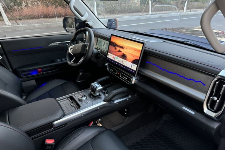 Used  Shanhai T2 2024 C-DM 129KM Linye Edition
