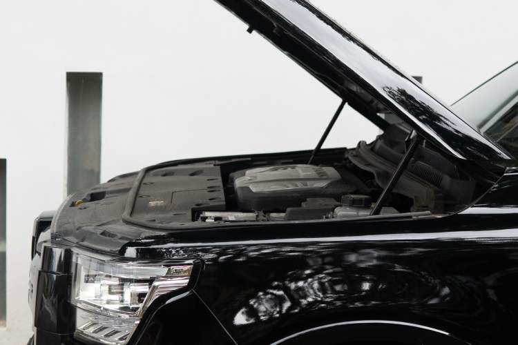 Used Tank 500 2022 3.0T Sport Edition "Creation" Version 5-Seater
