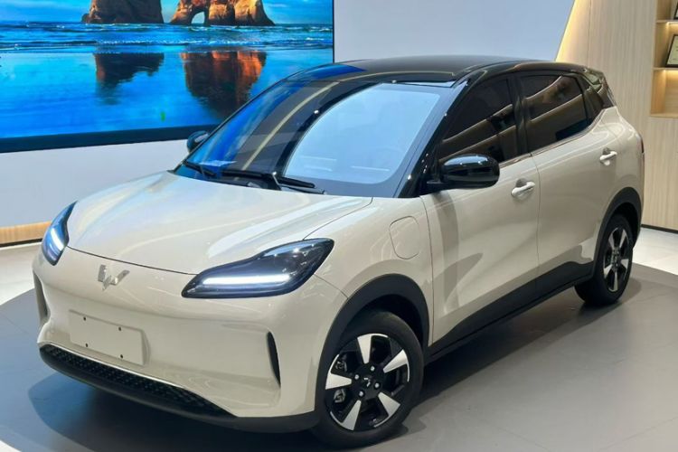 Used Wuling Bingo PLUS 2024 330 km Range Five-Seater Version