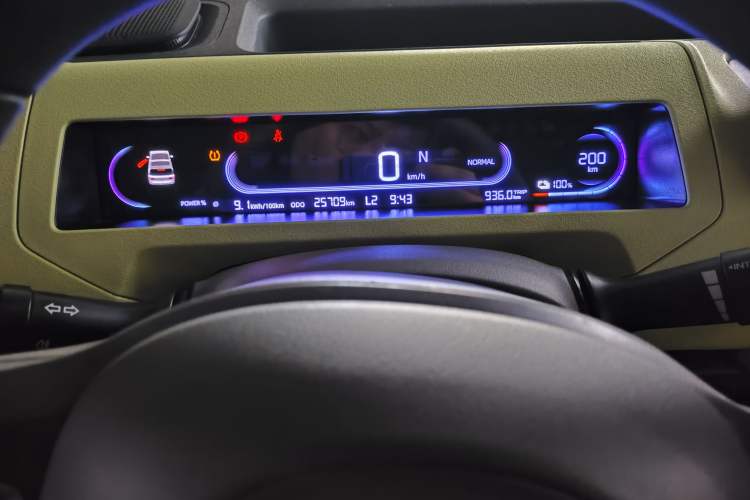 Used  Panda 2023 Panda Mini New Year Edition Treasure Bear
