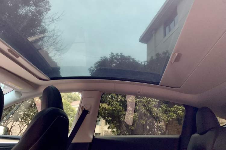 Used Tesla Model Y 2022 Rear-Wheel-Drive Version