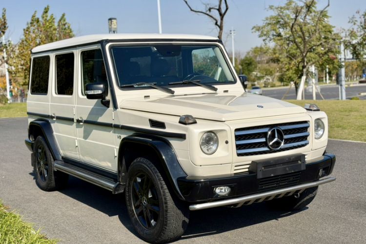 Used Mercedes-Benz G-Class 2010 G 500
