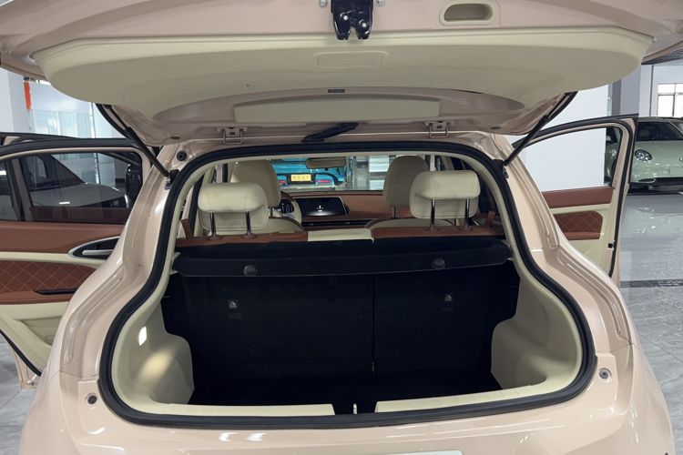 Used ORA Good Cat 2021 400km Standard Range Business Edition Lithium-Ion Battery
