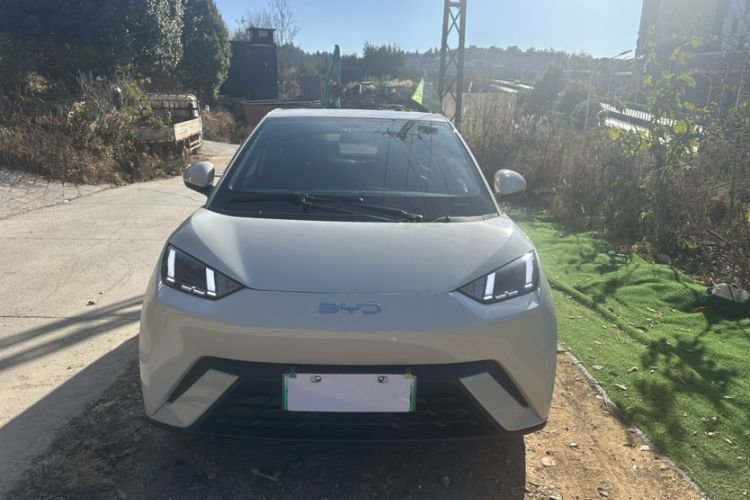 Used BYD Seagull 2025 305 km Free Version
