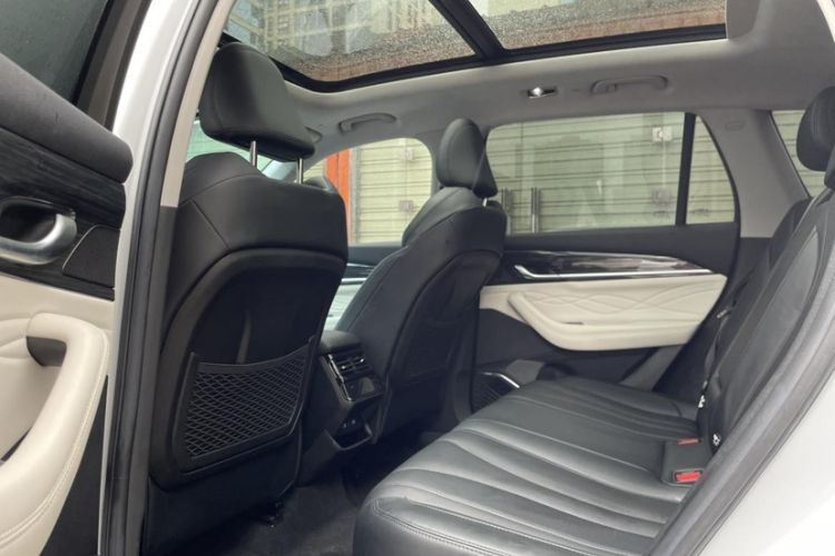 Used Geely Auto Monjaro L 2023 2.0TD High-Power Automatic Two-Wheel Drive Flagship Version
