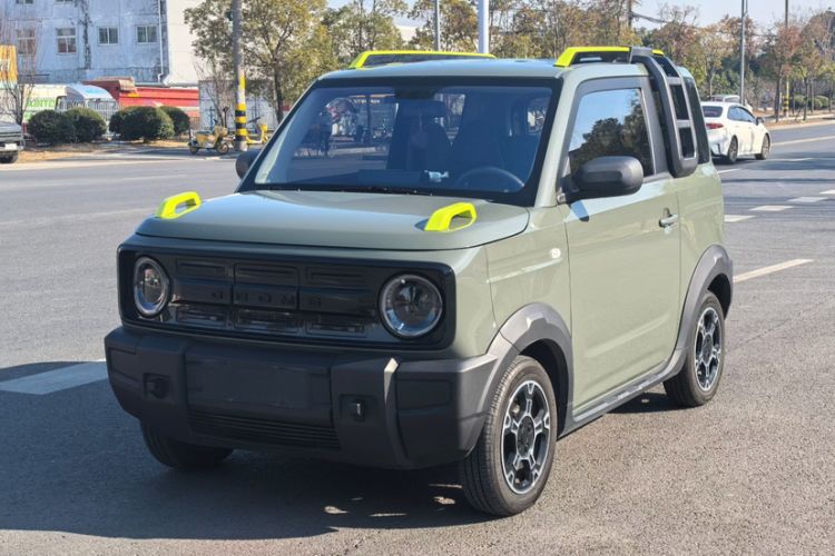 Used  Panda 2024 200km Panda Rider