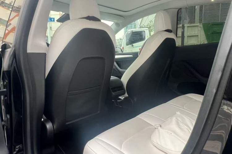 Used Tesla Model Y 2021 Standard Range Rear-Wheel Drive Version
