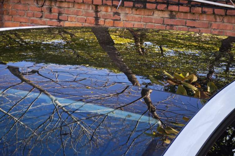 Used Tesla Model Y 2022 Revised Version Long-Range All-Wheel Drive