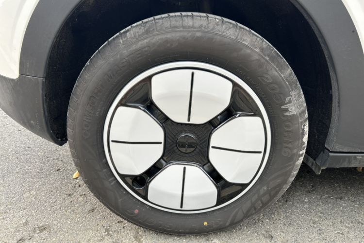 Used  Geome 2025 310km Youth Edition
