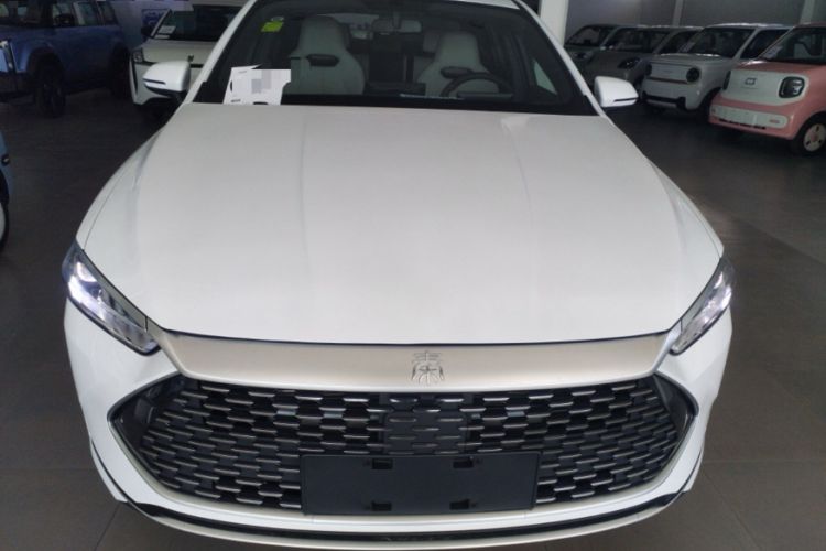 Used BYD Qin PLUS 2024 HONOR Edition DM-i 55KM Leading Model
