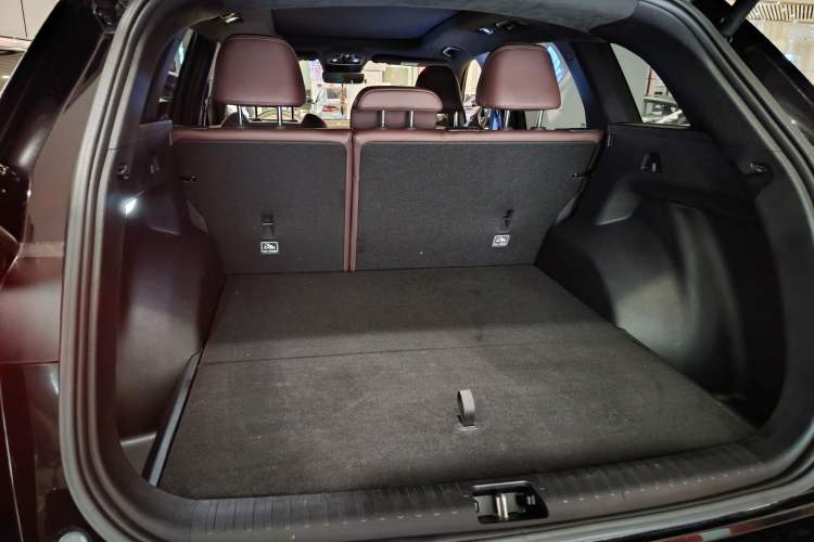 Used Geely Auto Monjaro L 2021 2.0TD DCT EVO Two-Wheel Drive Prestige Version
