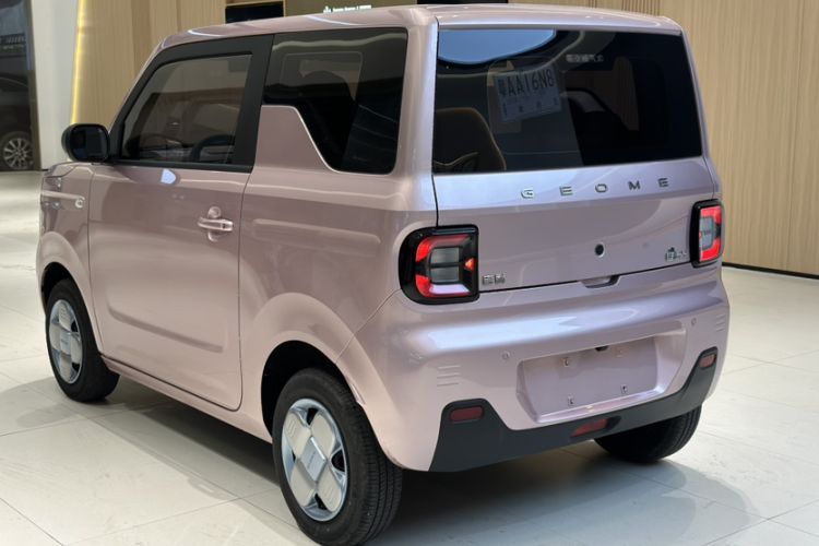 Used  Panda 2024 Panda Mini 200km Endurance Bear
