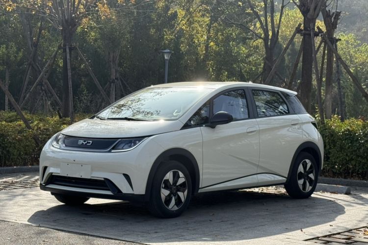 Used BYD Dolphin 2025 420km Free Edition