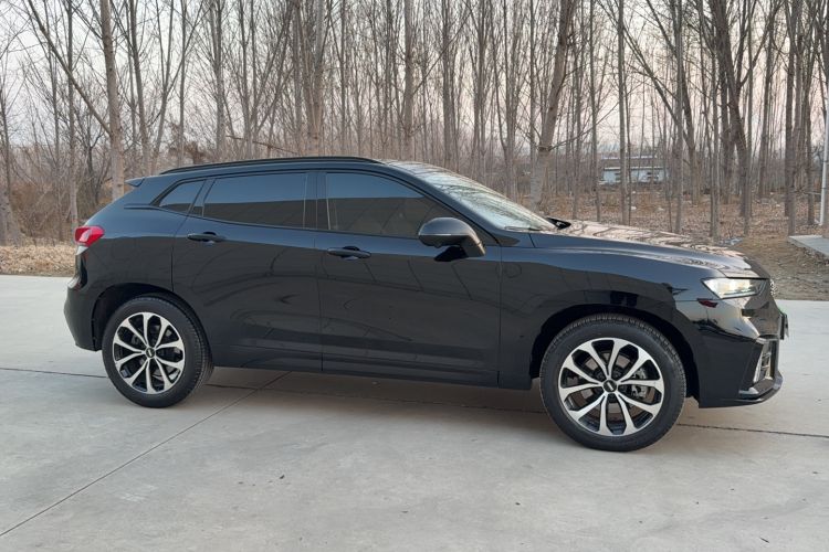 Used Wey VV7 2020 2.0T Ultra-Luxury Version
