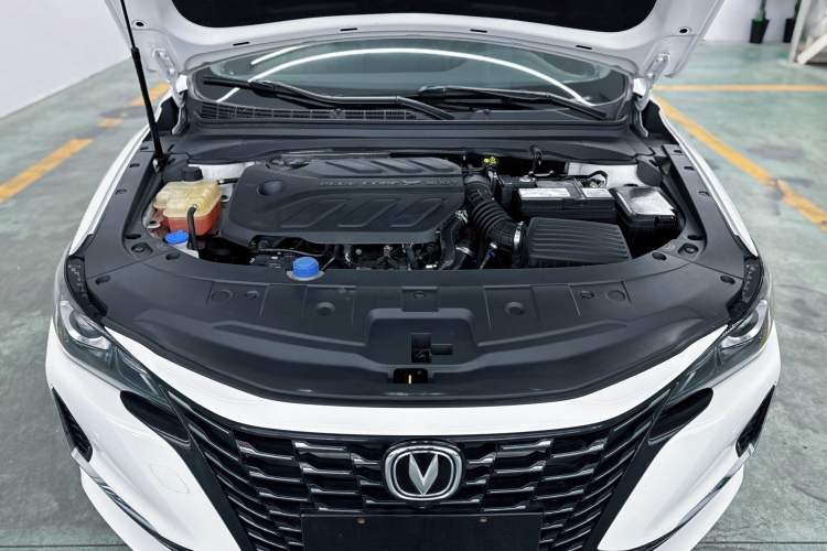 Used Changan Ruicheng CC 2022 Blue Whale Edition 1.5T DCT Luxury Model