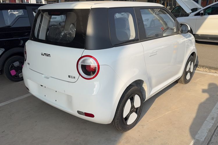 Used  Lumin 2025 205 km Xiangqin Version