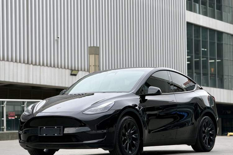 Used Tesla Model Y 2021 Standard Range Rear-Wheel Drive Version