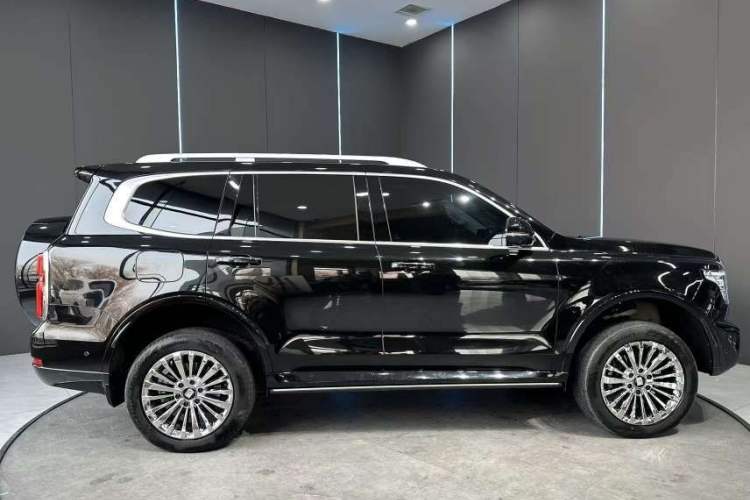 Used Tank 500 New Energy 2023 Hi4-T
