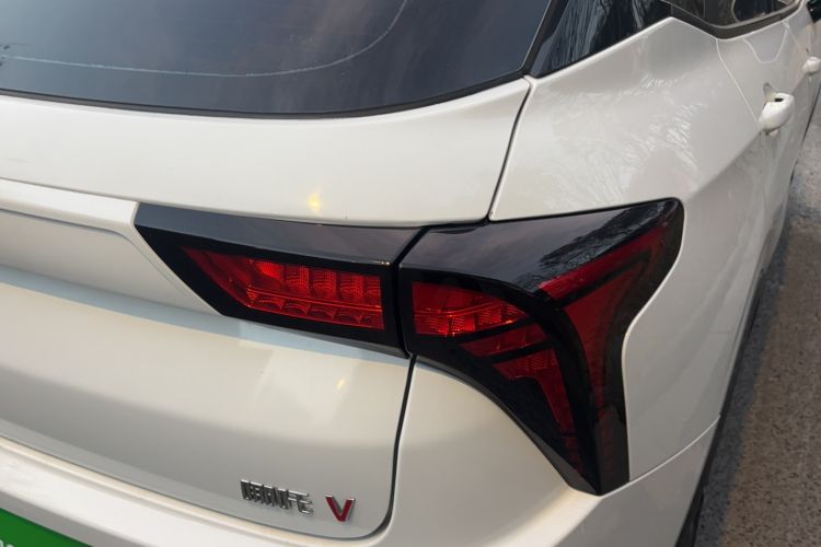 Used NETA V 2021 Long-Range Entertainment Edition Upgrade Model
