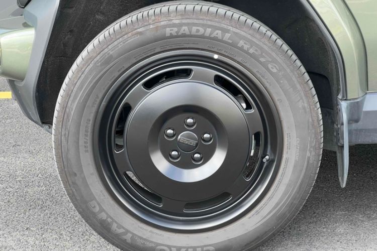 Used  V23 2025 401 Two-Wheel Drive Advanced Edition
