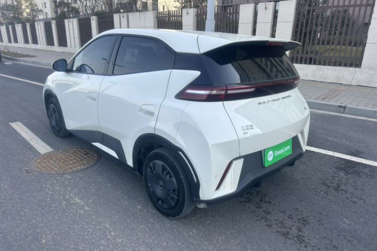 Used BYD Seagull 2023 Active Version
