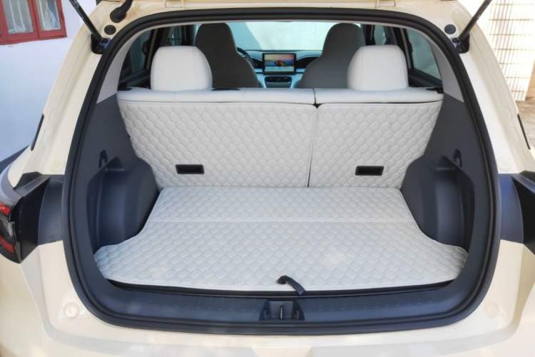 Used  Geome 2025 310km Youth Edition
