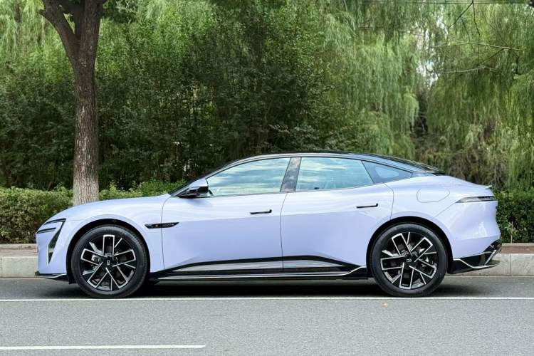 Used  06 2025 Pro Range-Extended Edition
