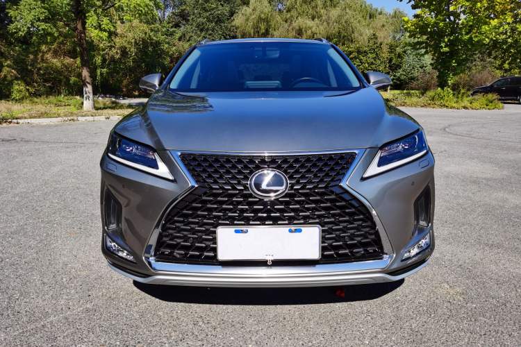 Used Lexus RX 2020 Revised Version 300 Two-Wheel Drive Elite Edition
