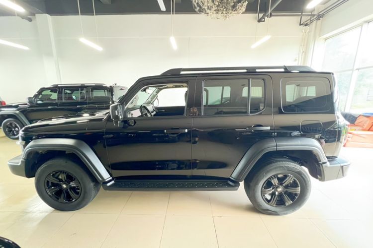 Used Tank 300 2024 2.0T Conqueror
