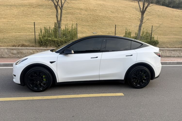 Used Tesla Model Y 2022 Rear-Wheel-Drive Version