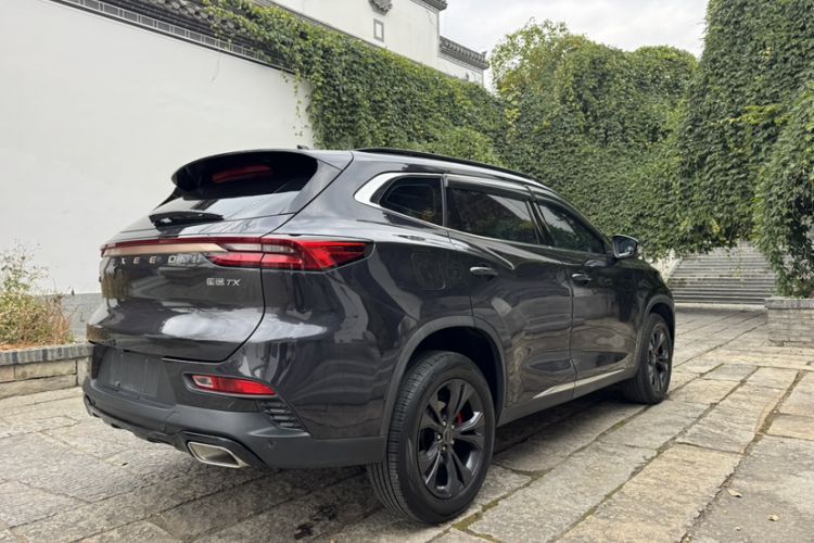 Used  TX 2021 1.6T Two-Wheel Drive Superpower No. 3
