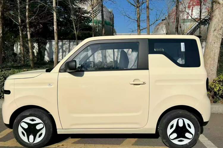 Used  Panda 2025 210 km – Yuanqi Bear
